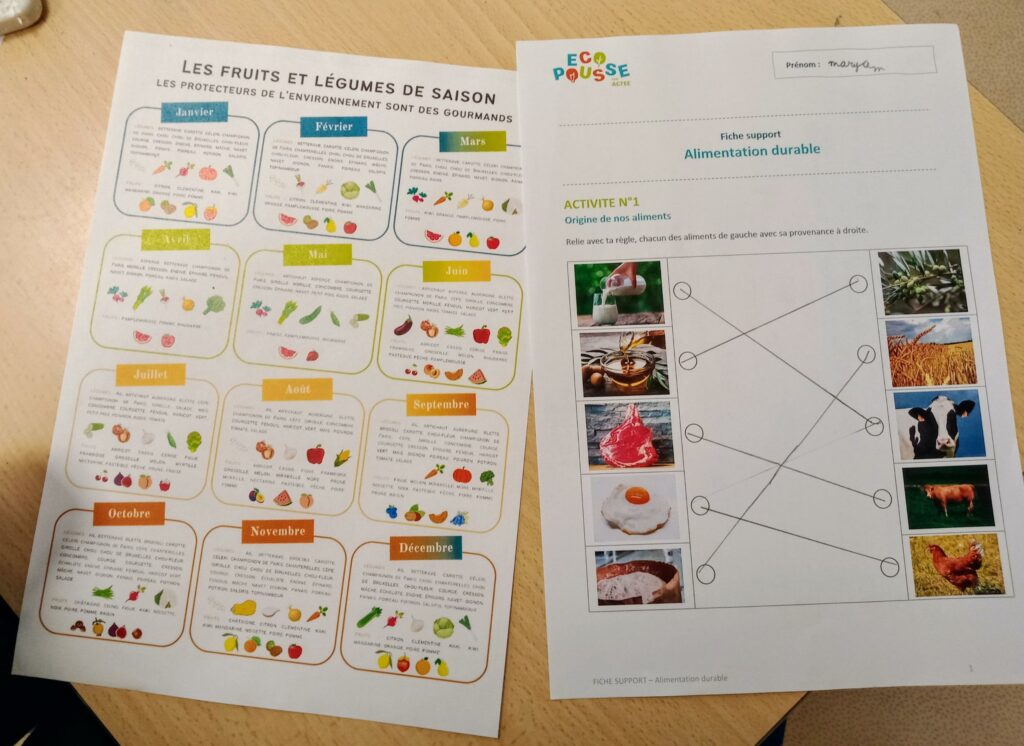 calendrier fruits et légumes de saison