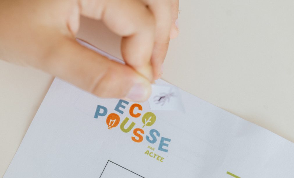 Reportage sur l’atelier « Biodiversité » animé ce jour par Sophie Lebrou (EcoCO2) pour le programme Ecopousse par ACTEE au sein des classes de l’école Jehan de Meung à Meung-sur-Loire.