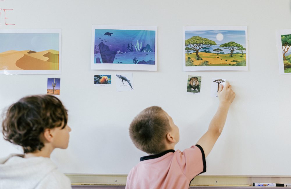 école atelier sensibilisation